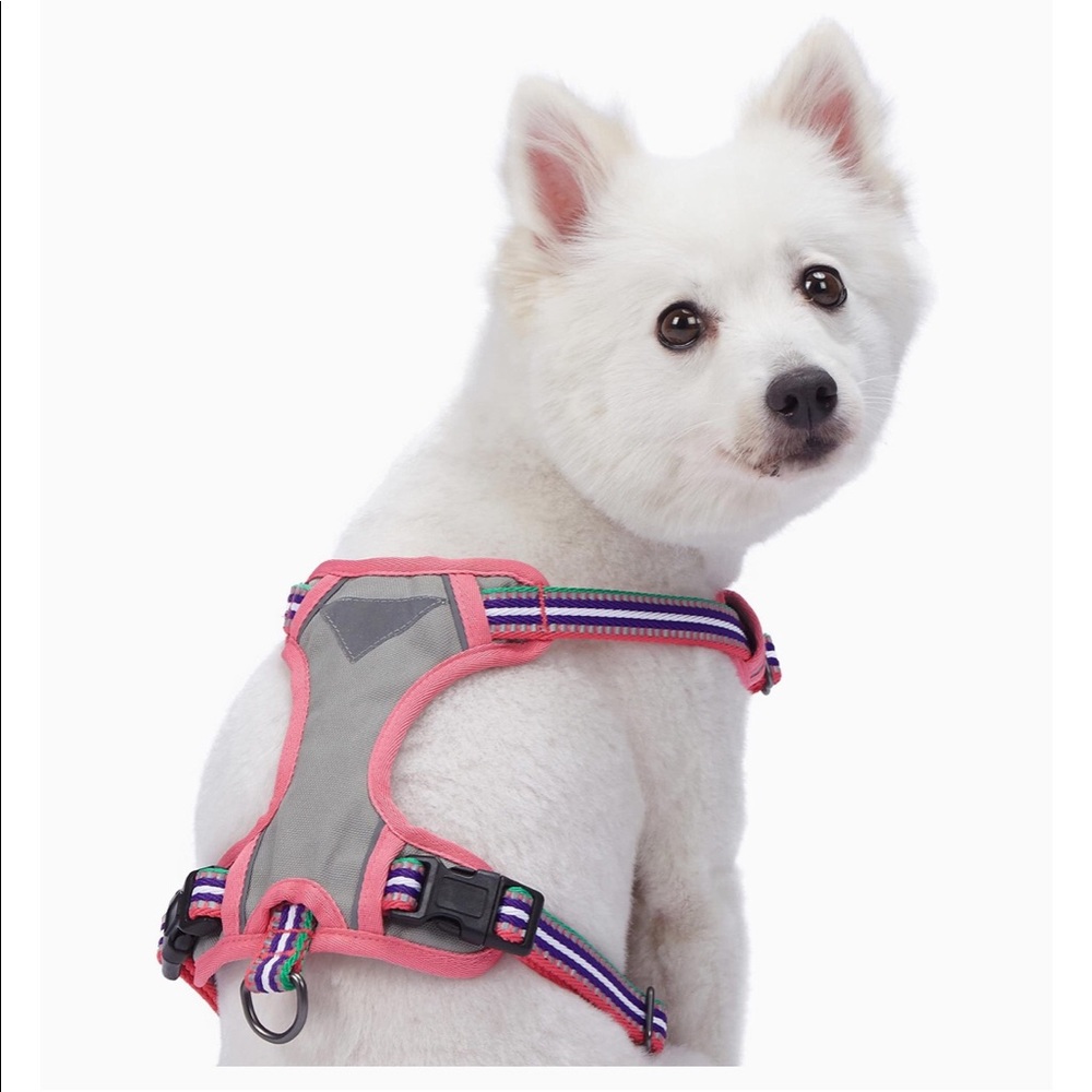 Blueberry Pet Pink, Emerald and Orchid Leach